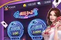 wpk德州俱樂部